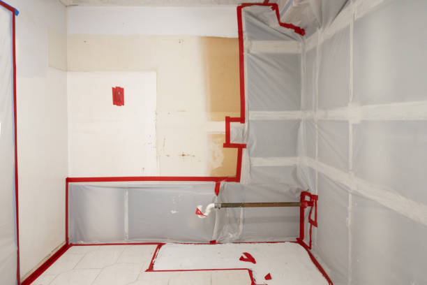 Professional Mold Removal in Huntington Park, CA