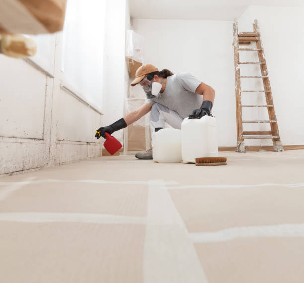 Best Dehumidification Services  in Huntington Park, CA